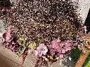 IMG_9668.webp