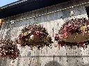 IMG_9666.webp