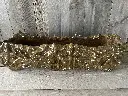 IMG_1340.webp