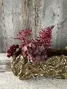 IMG_1341.webp