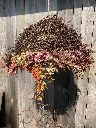 Suspensions fleurs