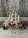 Boîte champignons