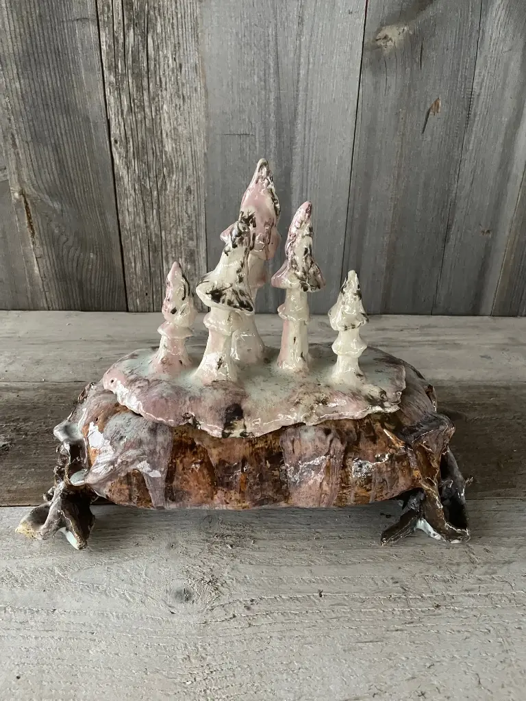 Boîte champignons